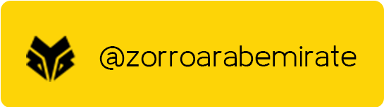 Support & Connect with Zorro UAE — Branding & Strategy Experts