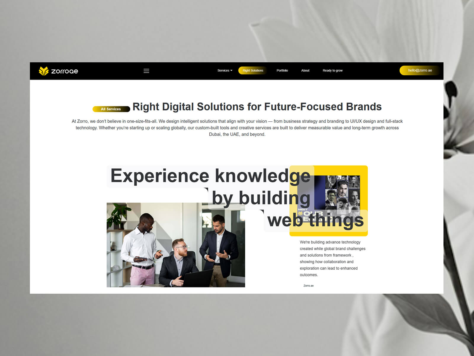 Zorro Right Solutions – The Z-Effect Strategic Brand Framework