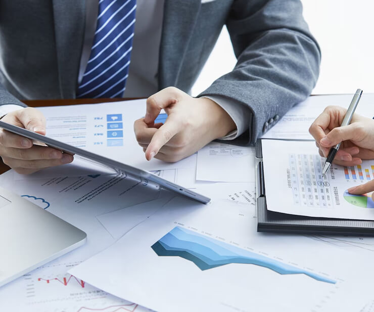 Zorro Financial Advisory Services Supporting Startups, Enterprises, and Government Projects